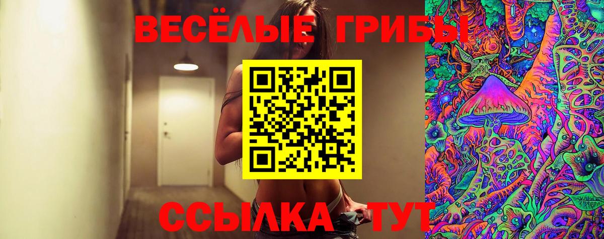 Псилоцибиновые грибы MAGIC MUSHROOMS  Вход с VPN  Кумертау 